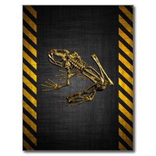 Navy SEALs Frogmen Postcards