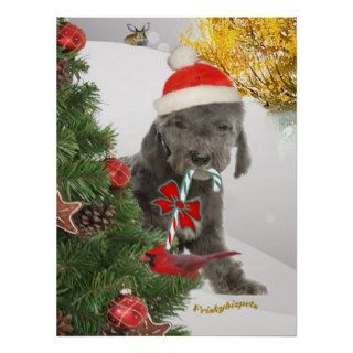 Bedlington puppy  Stands Behind xmas tree Posters