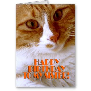 Happy Birthday Sister   Sweet Cat Greeting Card