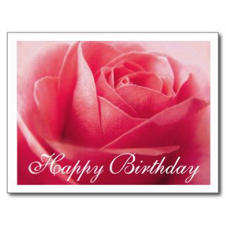 Happy Birthday Pink Rose  Greeting Postcard