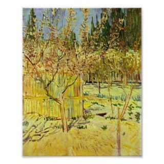 Apricot Trees in Blossom, Vincent van Gogh Print