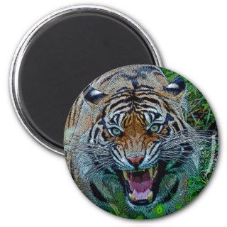 Here's Looking At You Tiger Refrigerator Magnet