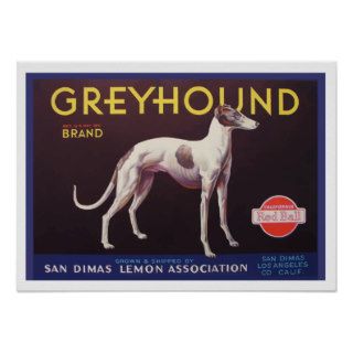 Greyhound Fruit Crate Label Posters