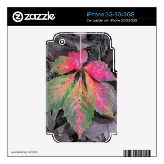 Brilliance Among the Grey   Autumn Leaf iPhone 3G Decal