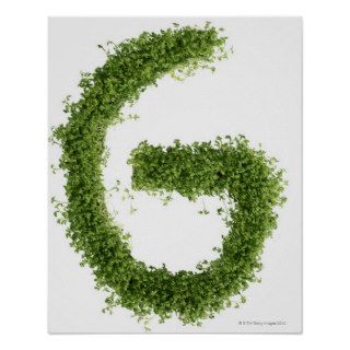 Letter 'G' in cress on white background, Poster