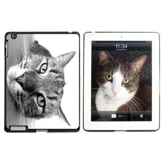 Domestic Shorthair Tabby Cat   Snap On Hard Protective Case for Apple iPad 2 3 4   Black Computers & Accessories