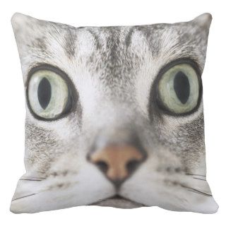 Zoom up of cat face pillows