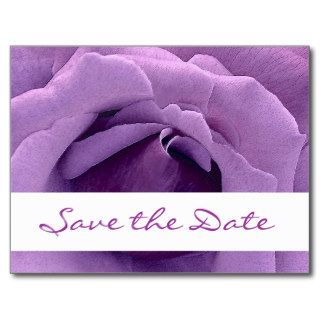 Save the Date Dreamy Purple Rose V10 Postcards