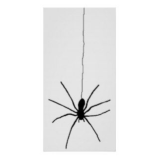 Hanging Spider Poster