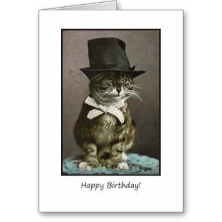 Funny Birthday Cat in Hat Cards