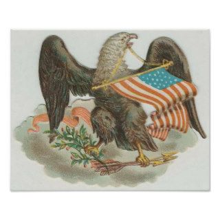 USA Eagle and Flag Poster