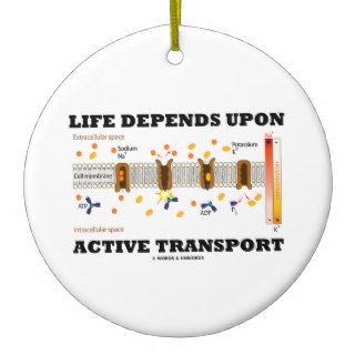 Life Depends Upon Active Transport (Na K Pump) Christmas Tree Ornaments