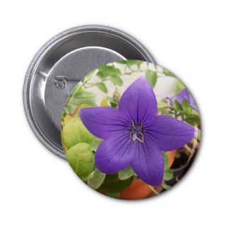 A Purple Balloon Flower Button