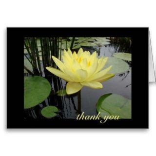 Thank You   Beautiful Water Lily Cards