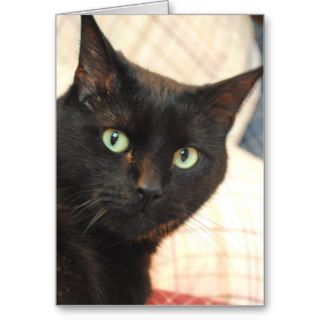 Black Cat Happy Birthday Card