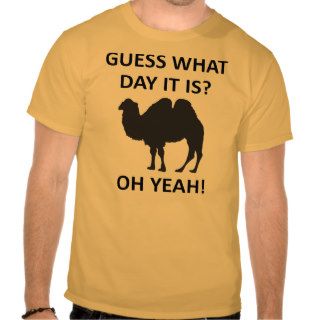 Hump Day Camel Funny T Shirt