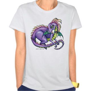 "Draco" Rainbow Fairy Dragon Tshirts