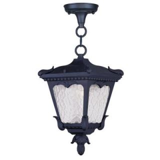 Filament Design Providence 1 Light Hanging Outdoor Black Incandescent Lantern CLI MEN7992 04