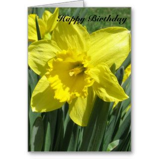Beautiful daffodil Birthday Card