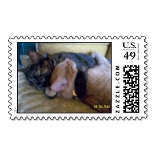 Hugging Kitties Postage Stamps