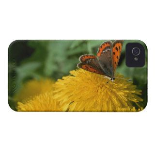 Dandelion and Blue iPhone 4 Case Mate Case