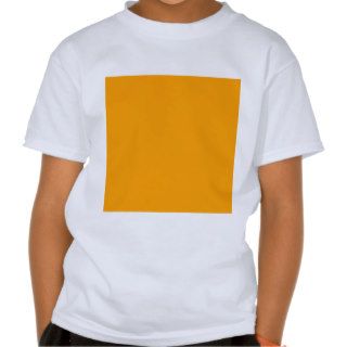 Plain Orange Background. T Shirt