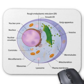 Cell structure mousepad