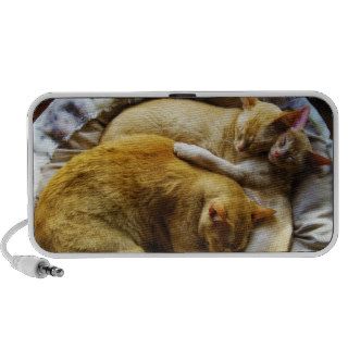 3 Sleeping House Cats Felis Silvestris Catus iPod Speaker