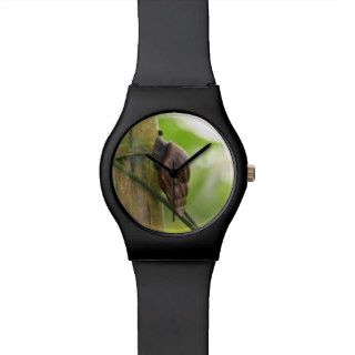 Exotic Snail on Bamboo Close Up Wrist Watches