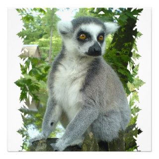 Madagascar Lemur Invitation