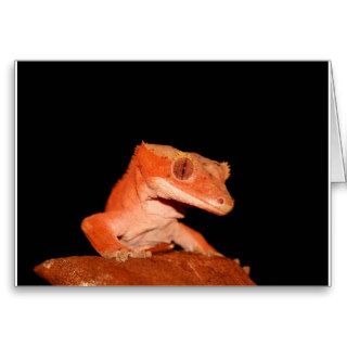 crested gecko greeting card