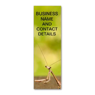 Praying Mantis Business Card Template