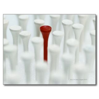 One Red Golf Tee Among Many White Golf Tees Post Card