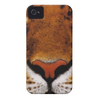 tiger face on multiple products iPhone 4 cases