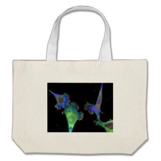 Mouse embryonic fibroblasts tote bags