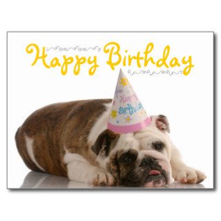 Funny Bulldog Birthday Postcard