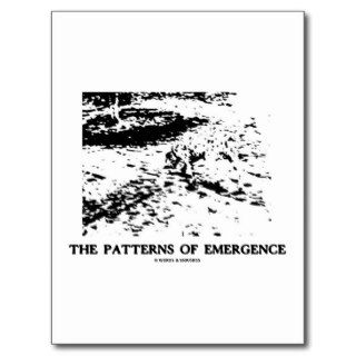 Patterns Of Emergence (Dalmatian Optical Illusion) Postcards