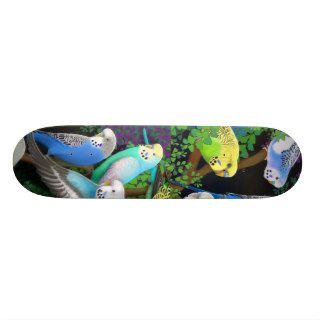 Budgie Parakeets Skateboard