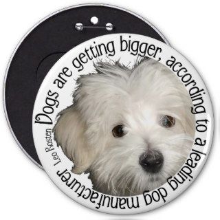 Maltese Wit . . . "Dogs are getting bigger. . ." Pinback Button