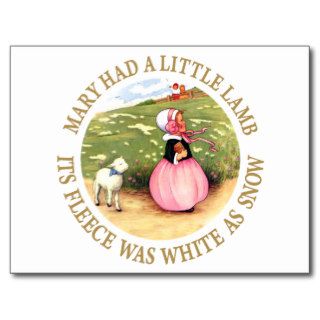 Mary Had a Little Lamb Post Cards