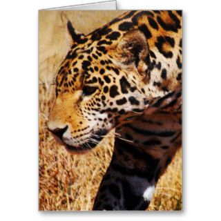 Leopard Prowling Greeting Card