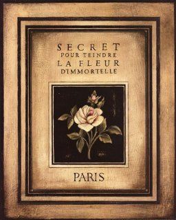 Les Fleurs De Paris I Poster by Kimberly Poloson (16.00 x 20.00)   Prints