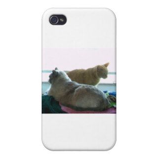 Anyway you look at it we're friends iPhone 4 cover