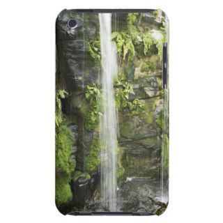 Waterfall, Temperate rainforest, New Zealand. iPod Touch Case Mate Case