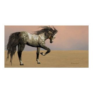 Desert Arabian Horse Print