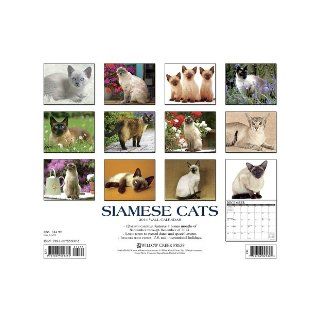 Siamese Cats 2014 Wall Calendar Willow Creek Press 9781607559375 Books