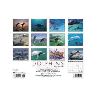 Dolphins 2013 Wall Calendar Willow Creek Press 9781607555506 Books