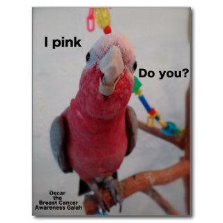 Breast Cancer awareness Pink Parrot Post card