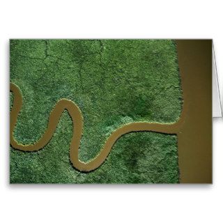 Aerial view of the Chickahominy River Greeting Cards