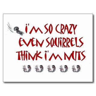 Squirrels Think I Am Crazy Postcard